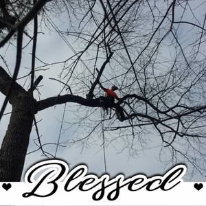 Meet your Posher, Lynn